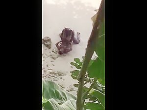 Horny Couple Beach Sex